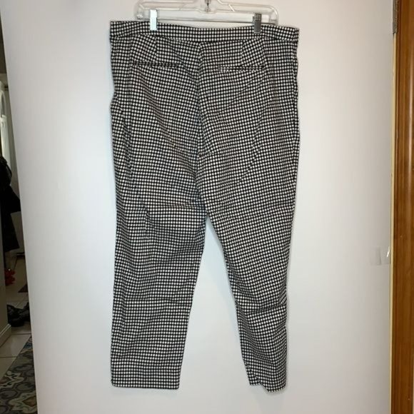 Focus 2000 Capri Pants Polka Dots 16 PLUS SIZE - Picture 6 of 6